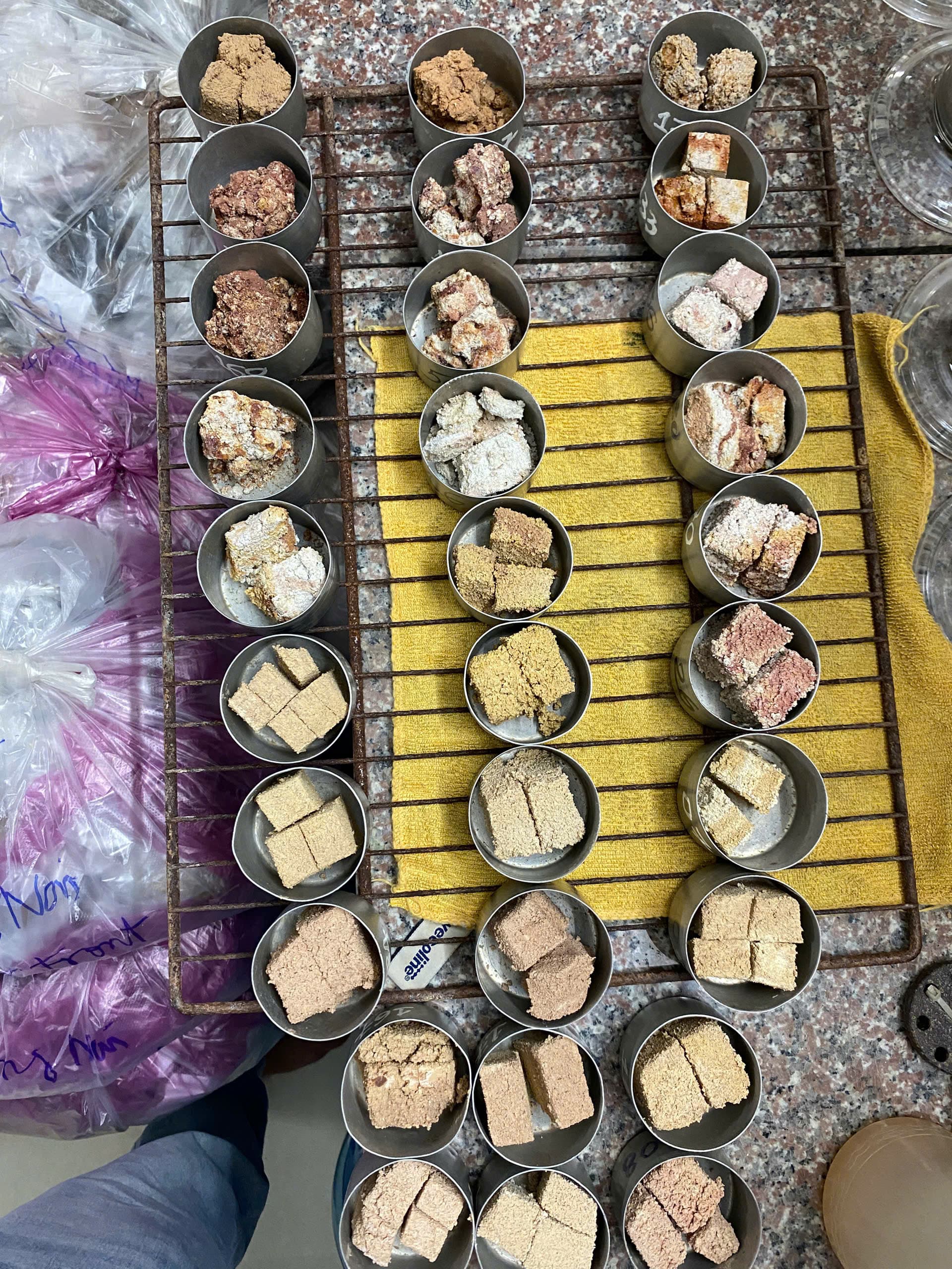 Hiện trường khảo sát địa chất CQC